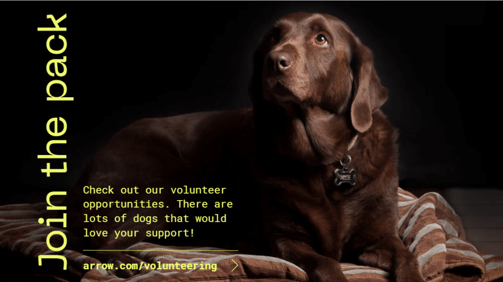 volunteering opportunities digital signage